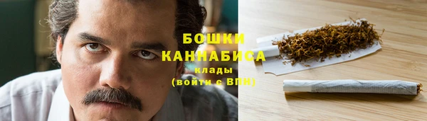 прущие грибы Богородск