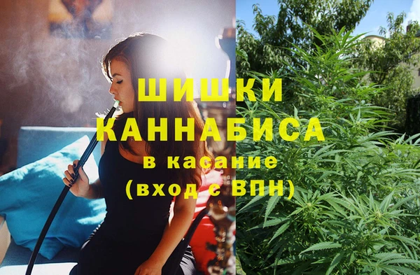 прущие грибы Богородск