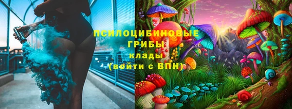 прущие грибы Богородск