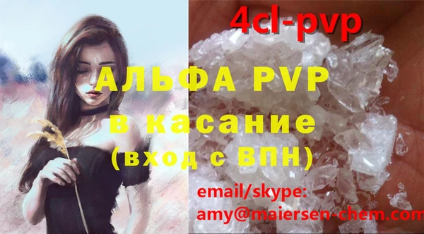прущие грибы Богородск