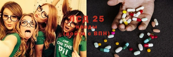 прущие грибы Богородск