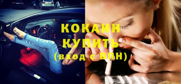 прущие грибы Богородск